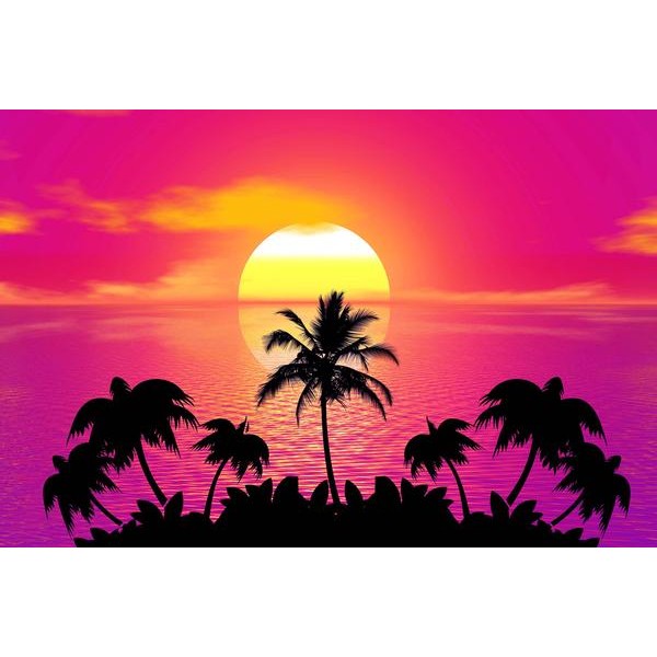 Sunset In The Tropics