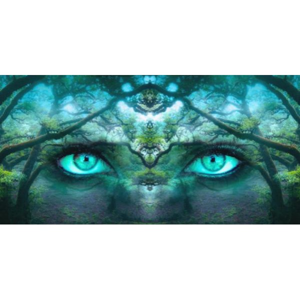 Emerald Forest Eyes