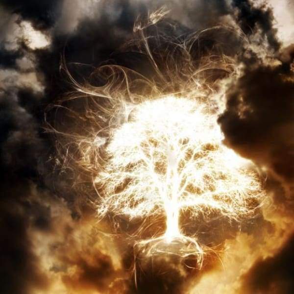 Tree Of Lightning