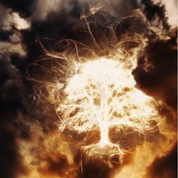 Tree Of Lightning