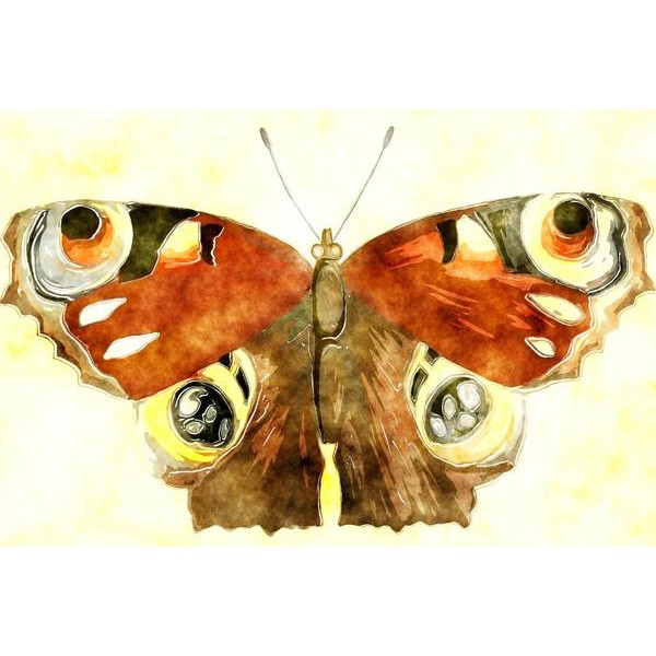 Watercolor Butterfly Painting