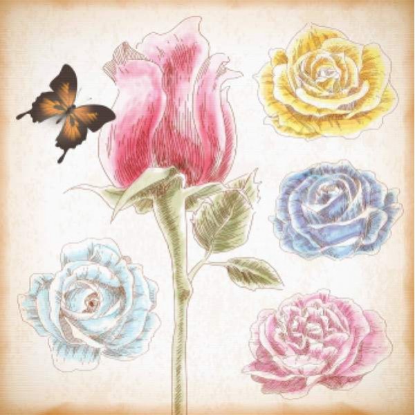 Hand Drawn Roses