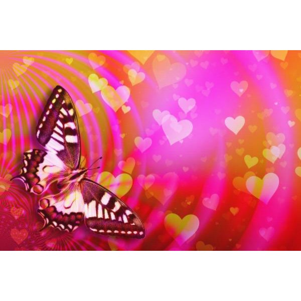 Butterfly Love Background