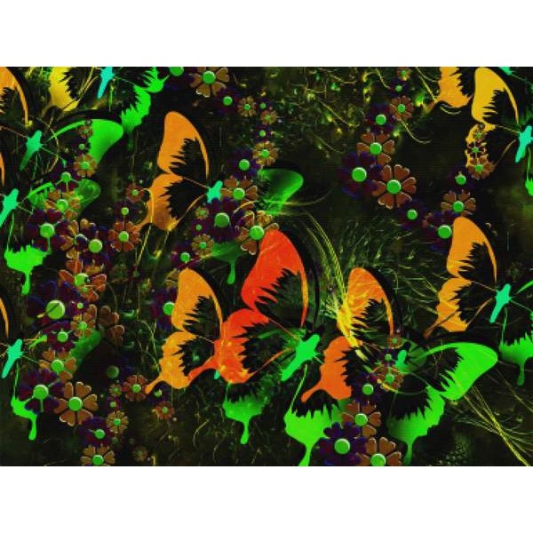 Abstract Butterfly Concept