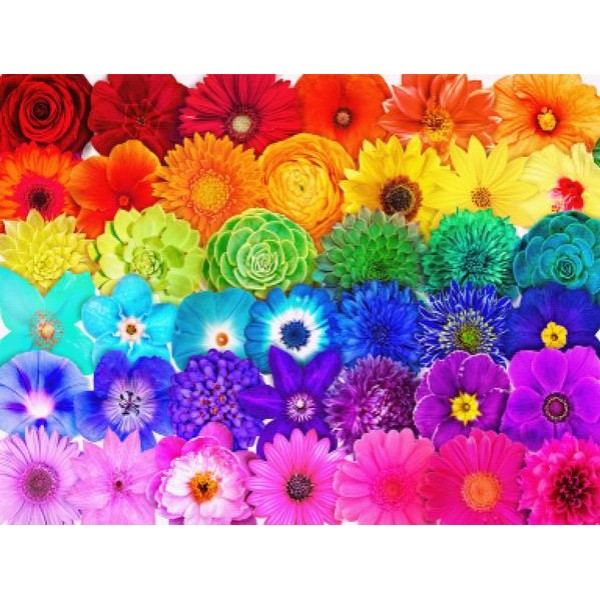 Insta Rainbow Flower Power Rows