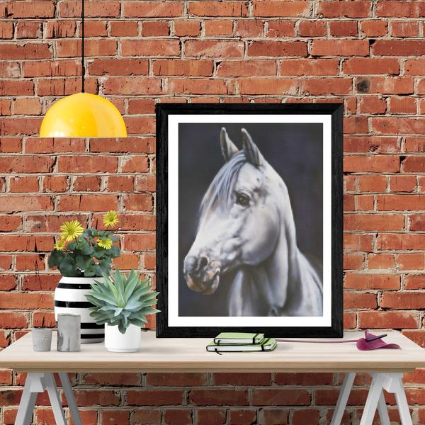 White Arabian Stallion