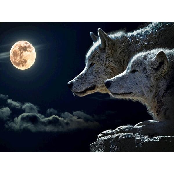 Howl At The Moon
