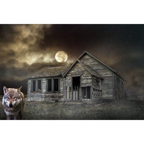 Guardian Of The Night