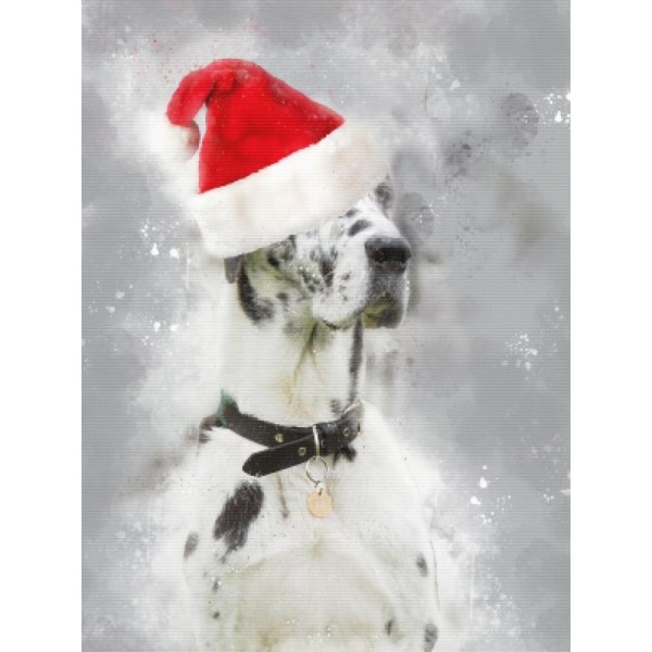Great Dane Santa