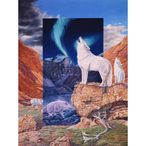 Foot Steps in the Night