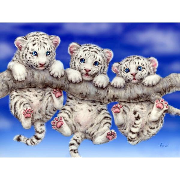 White Tiger Triplets - Ships From US