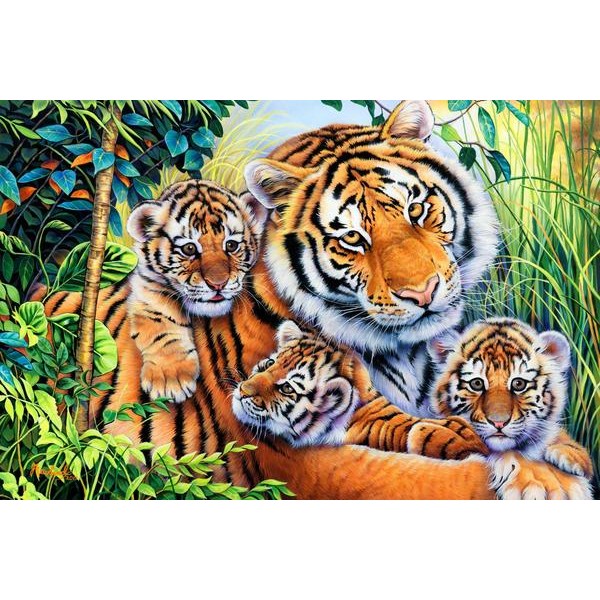 Lily's Pride - Ships From US