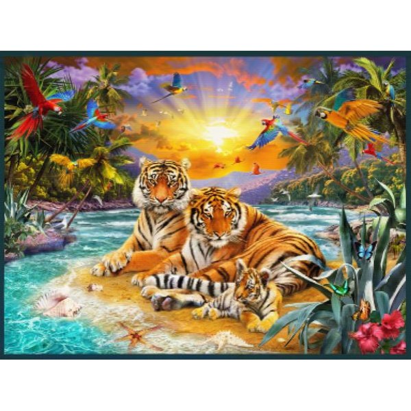 Sunset Tigers