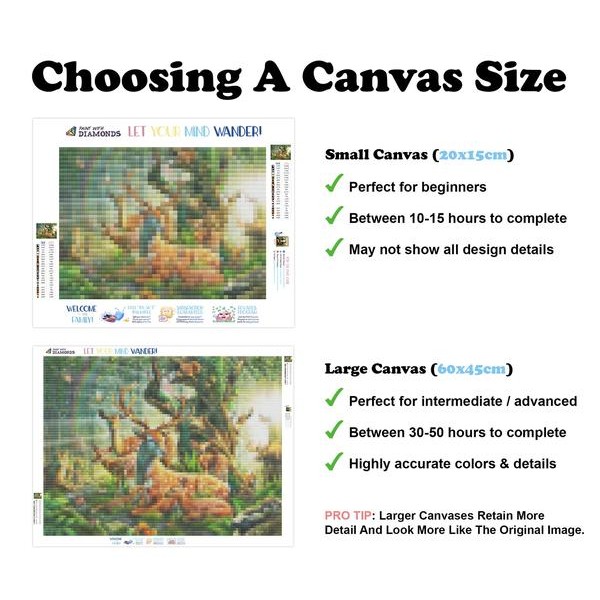 Deer Family in the Forest