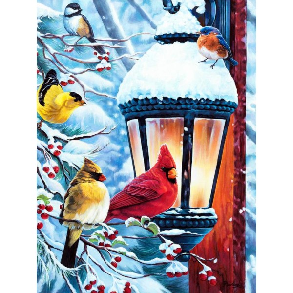 Taking the Chill off the Feathers - Ships From US