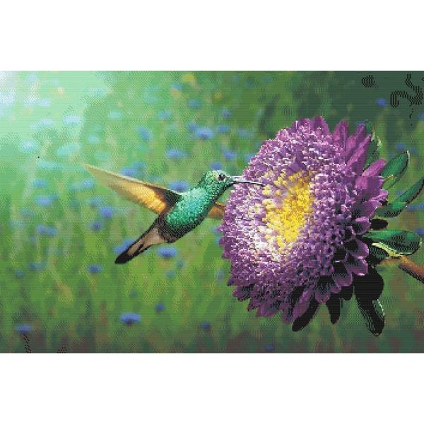 Spring Hummingbird