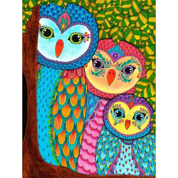 Night Owls Family