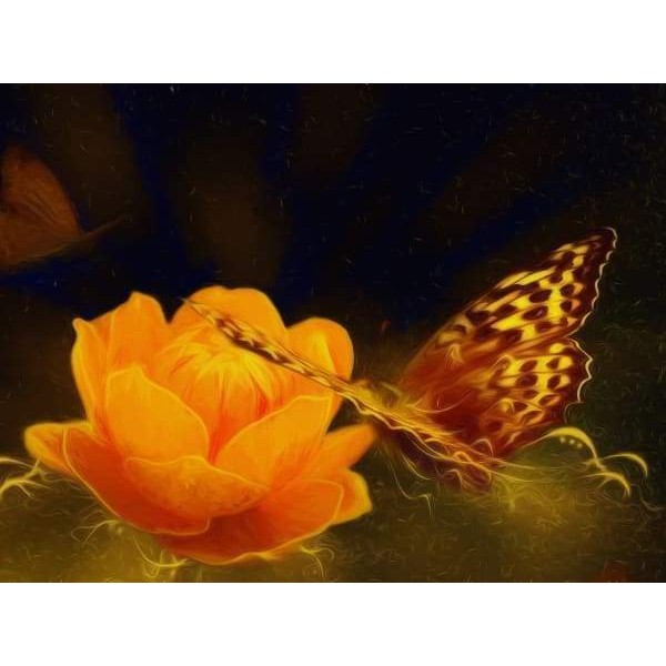 Glowing Orange Butterfly