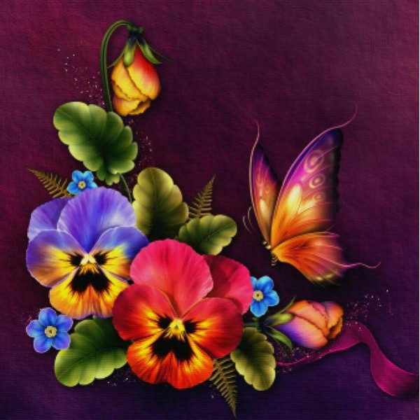 Fanciful Pansy