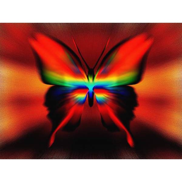 Rainbow Reverb Butterfly