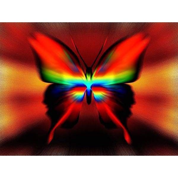Rainbow Reverb Butterfly