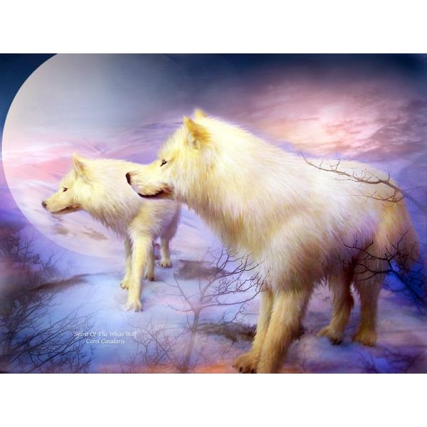 Spirit Of The White Wolves