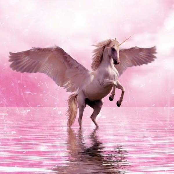 Pink Waters Unicorn