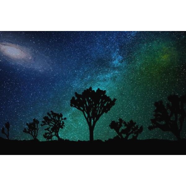 Intergalactic Joshua Tree