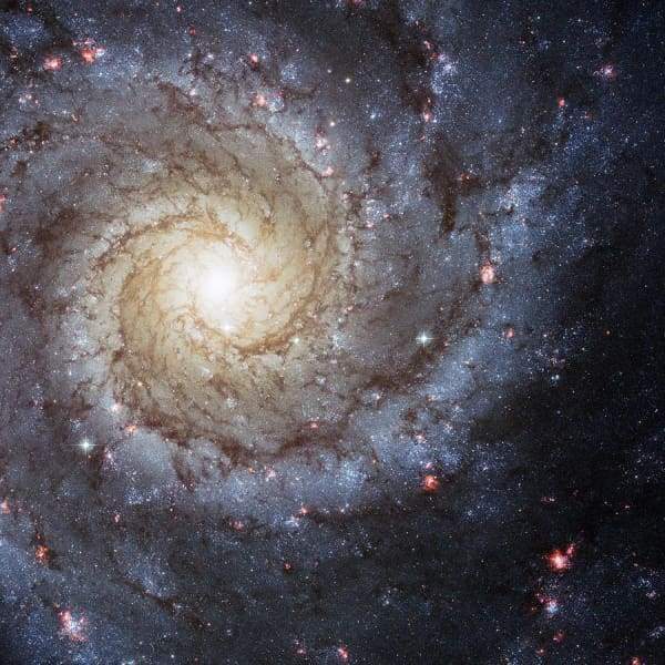 Spiral Galaxy M74
