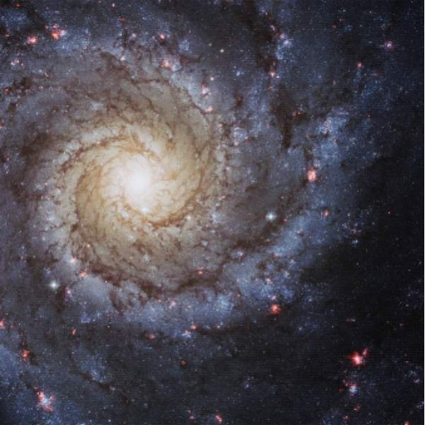 Spiral Galaxy M74