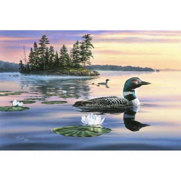 Sunset Loon
