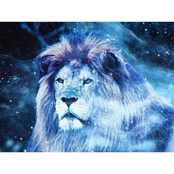 Starry Stardust Lion