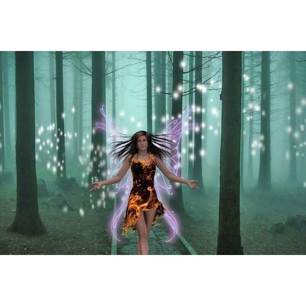 Fairy In The Forest