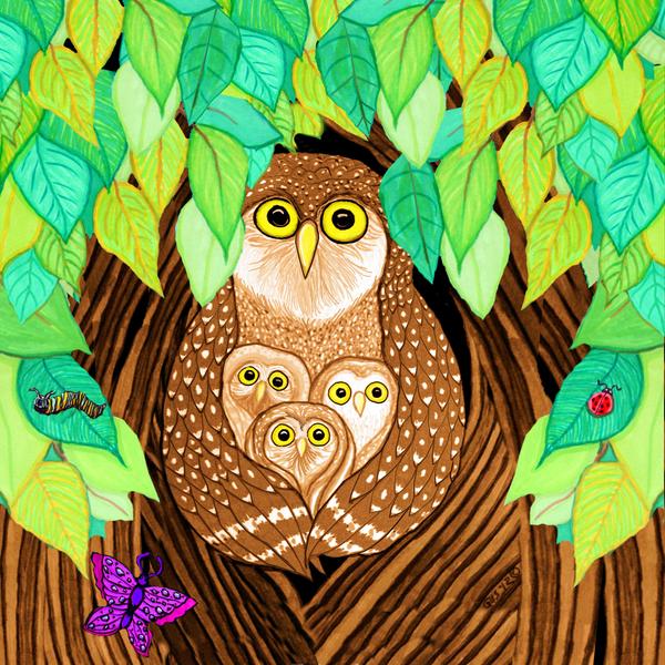 Owl Family Tree