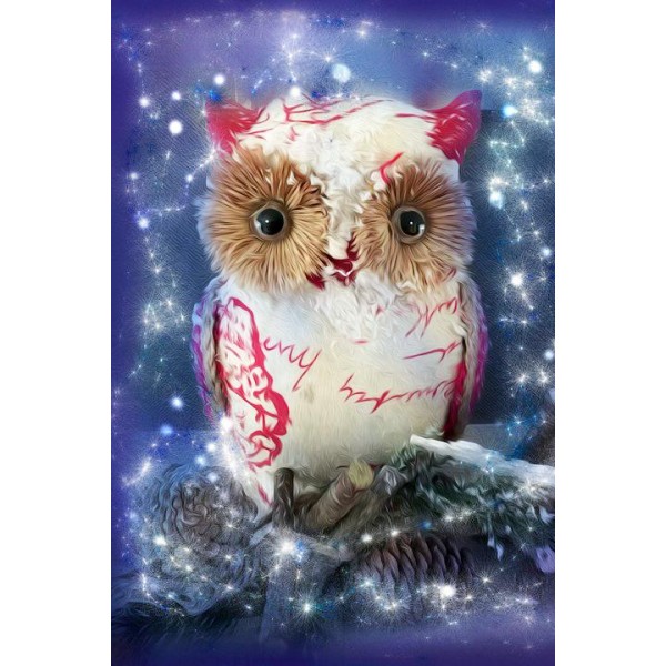 Sparkle Owl