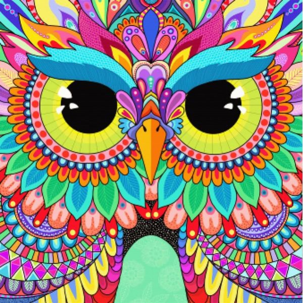 Rainbow Hoot