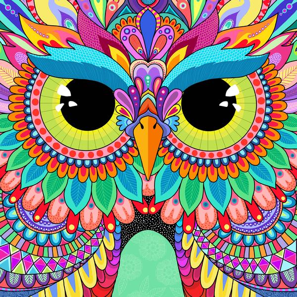 Rainbow Hoot