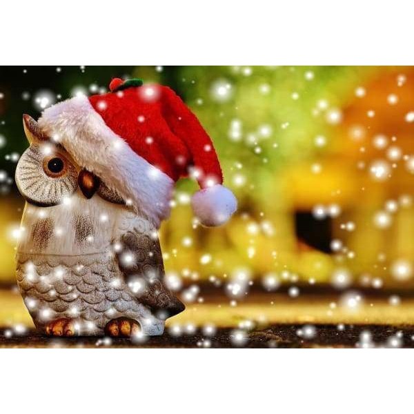 Owl Christmas