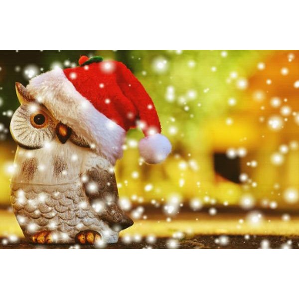Owl Christmas