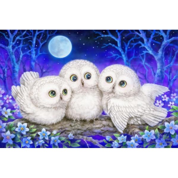Owl Triplets