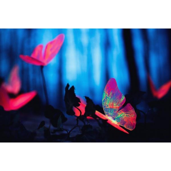 Pink Flowers And Butterfly