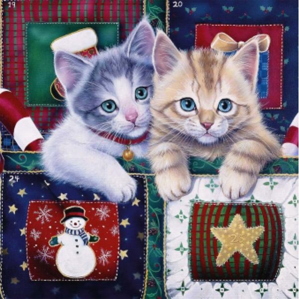 Christmas Calendar Kittens