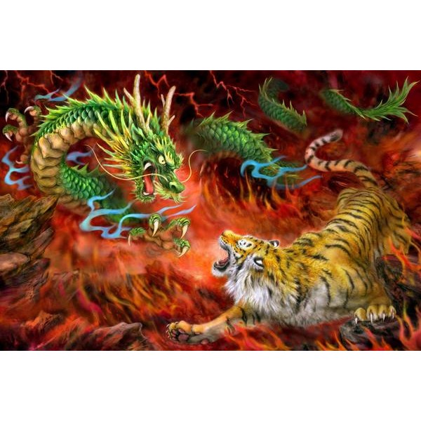 Dragon Vs Tiger On Fire