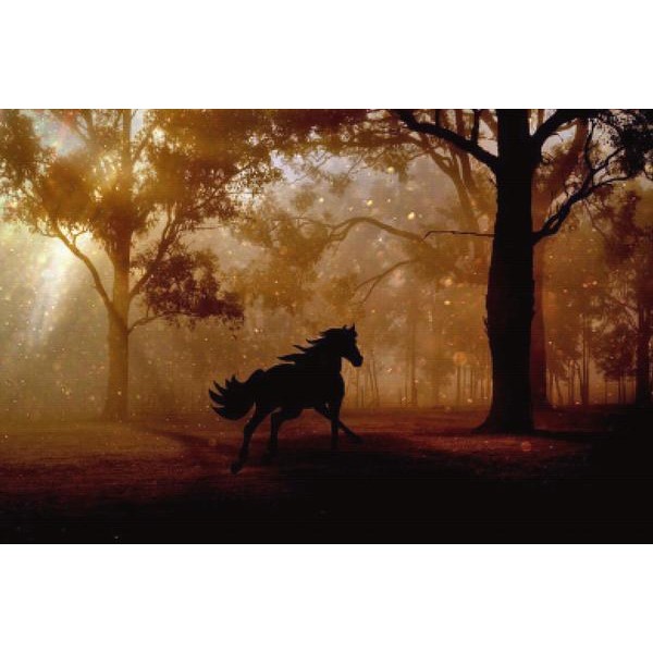 Gallop Through The Forest