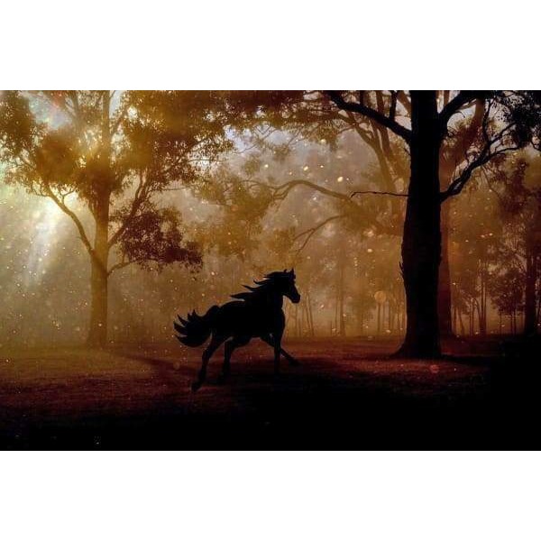 Gallop Through The Forest