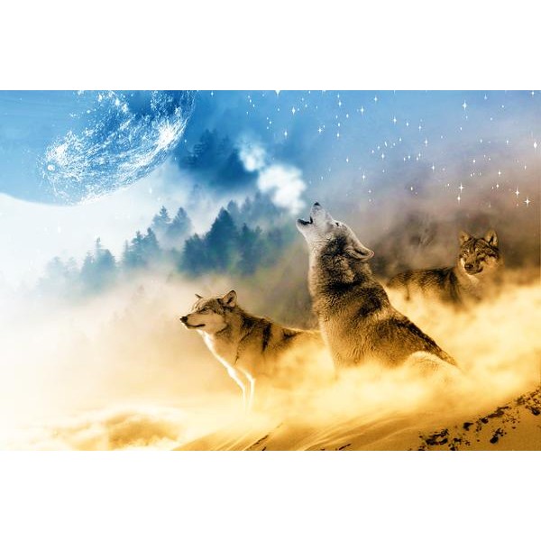 Howl At The Full Moon