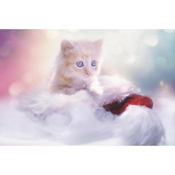 Kittens For Christmas