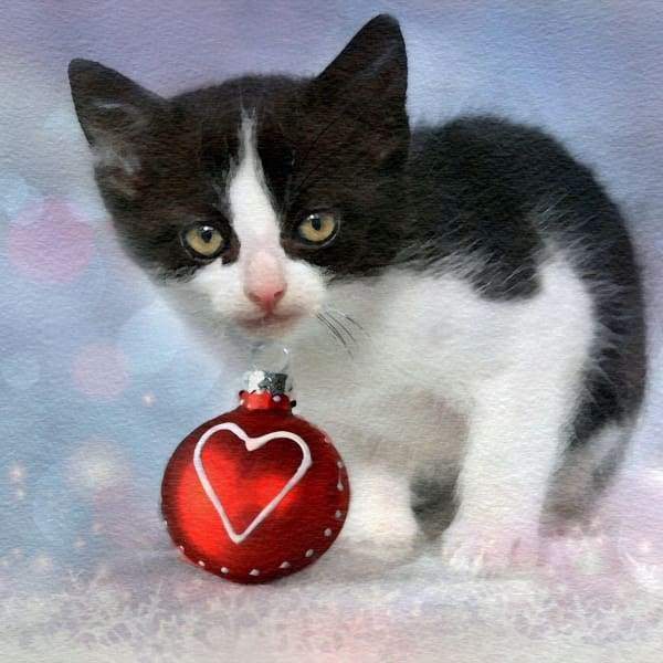 Christmas Kitty Watercolor