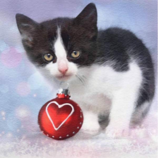 Christmas Kitty Watercolor