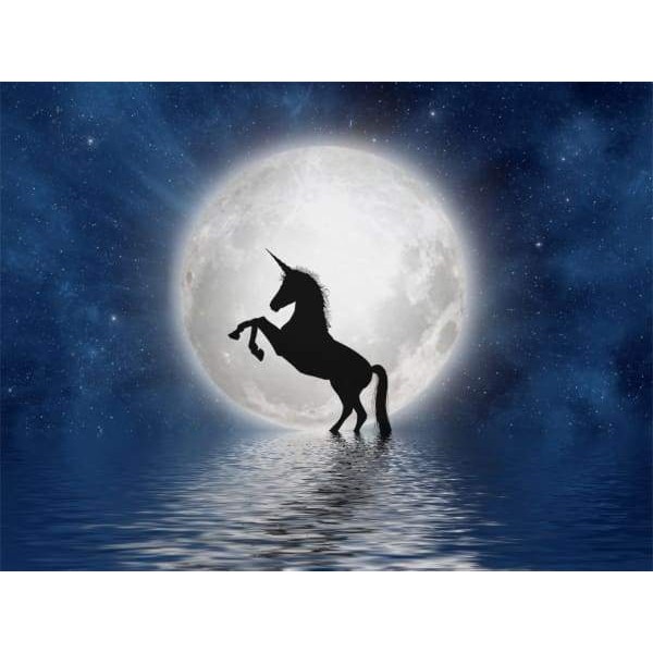 Unicorn Against The Moon